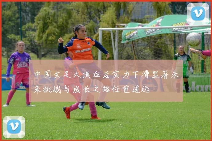中国女足大换血后实力下滑显著未来挑战与成长之路任重道远
