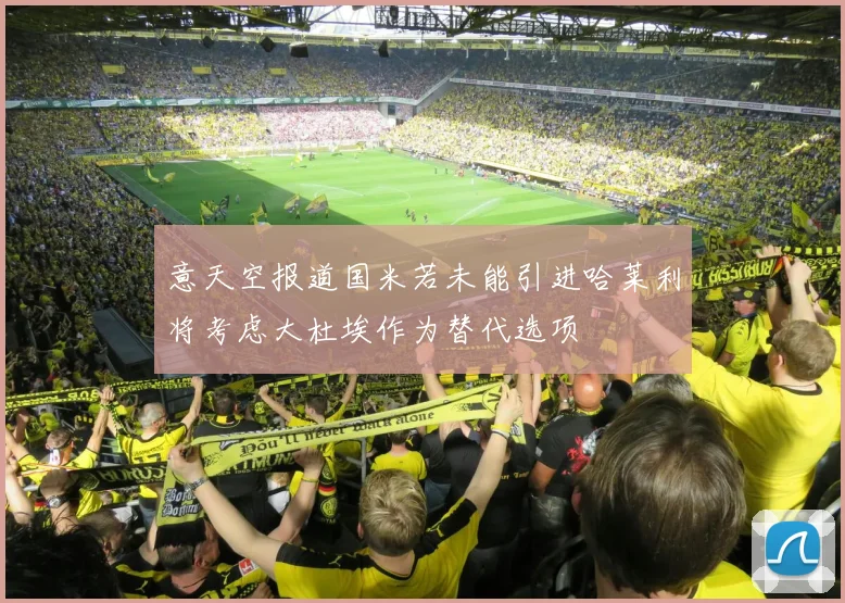 意天空报道国米若未能引进哈莱利将考虑大杜埃作为替代选项
