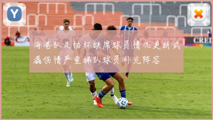 海港队足协杯缺席球员情况更新武磊伤情严重梯队球员补充阵容